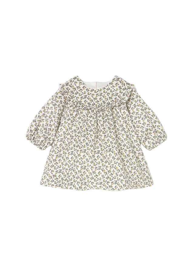 Baby Printed Velvet Dress