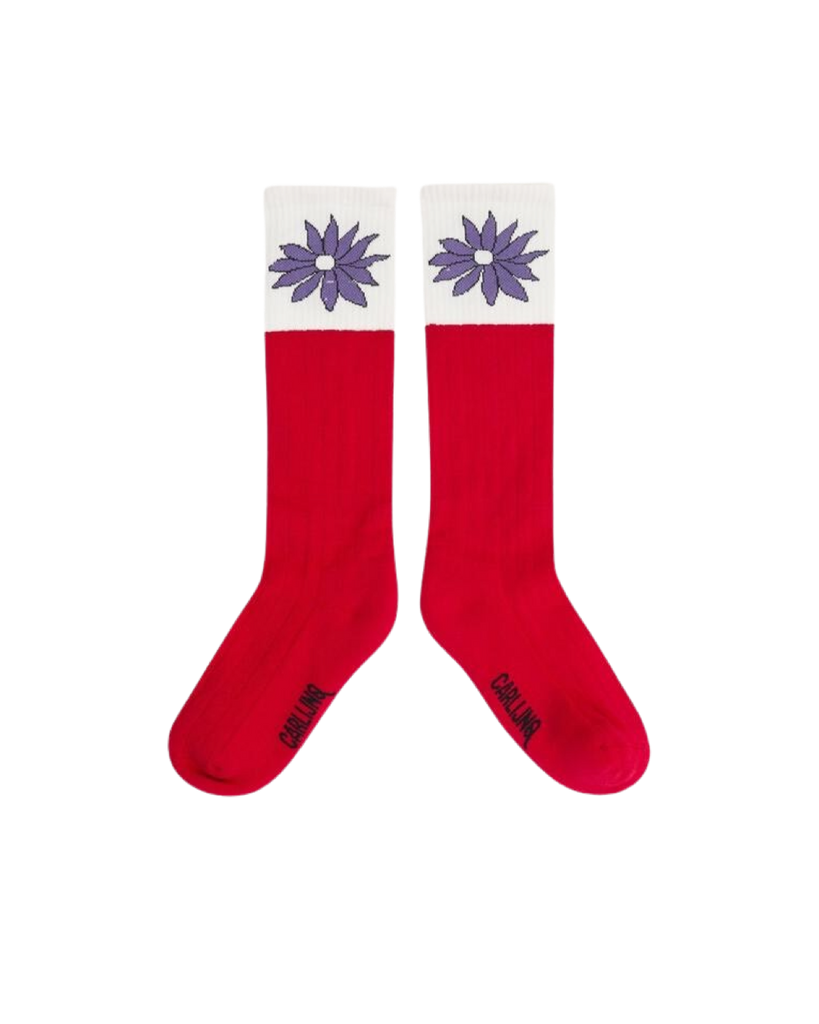CQ Dahlia Socks