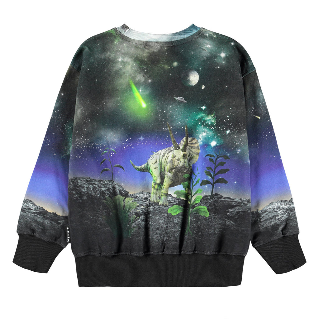Mattis Sweatshirt - Dino Drama