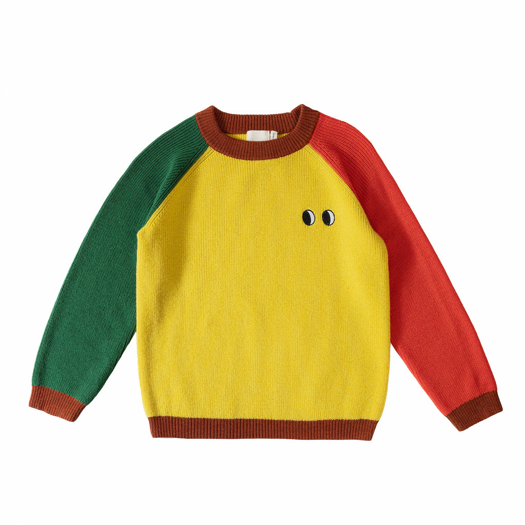 Colorful sweater with green, yellow, and red sleeves on a white background