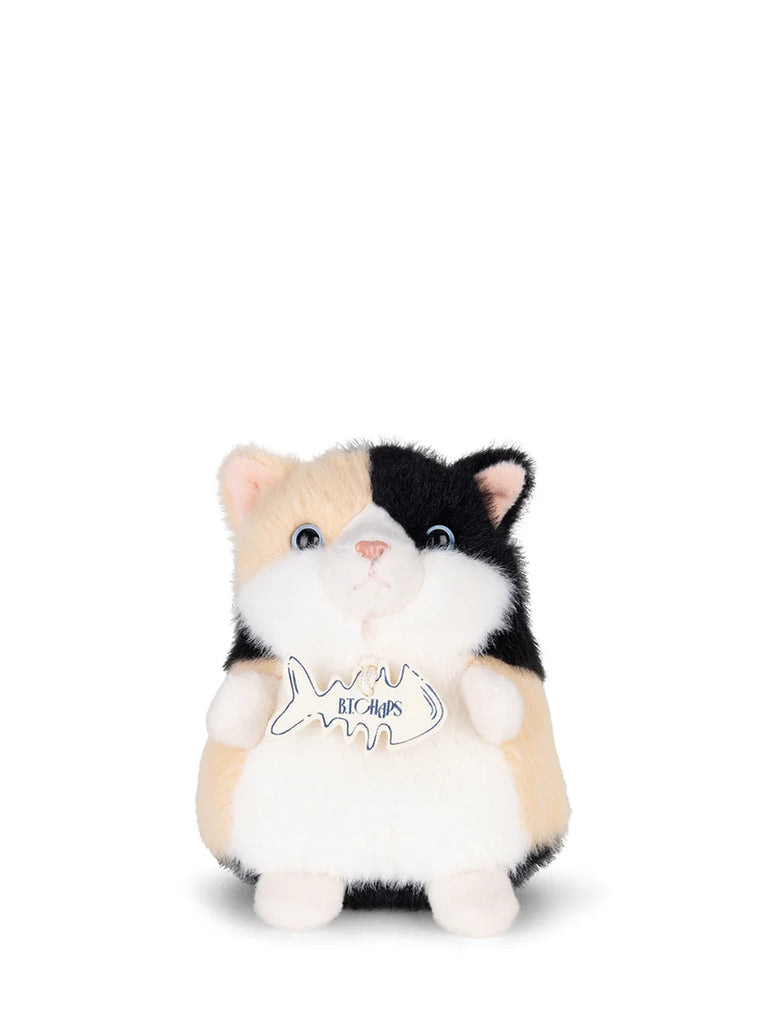 Sally the Calico Eco