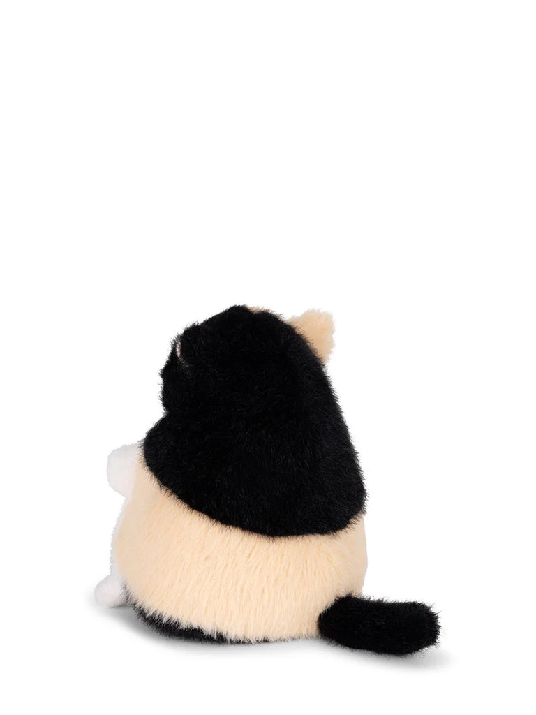 Sally the Calico Eco