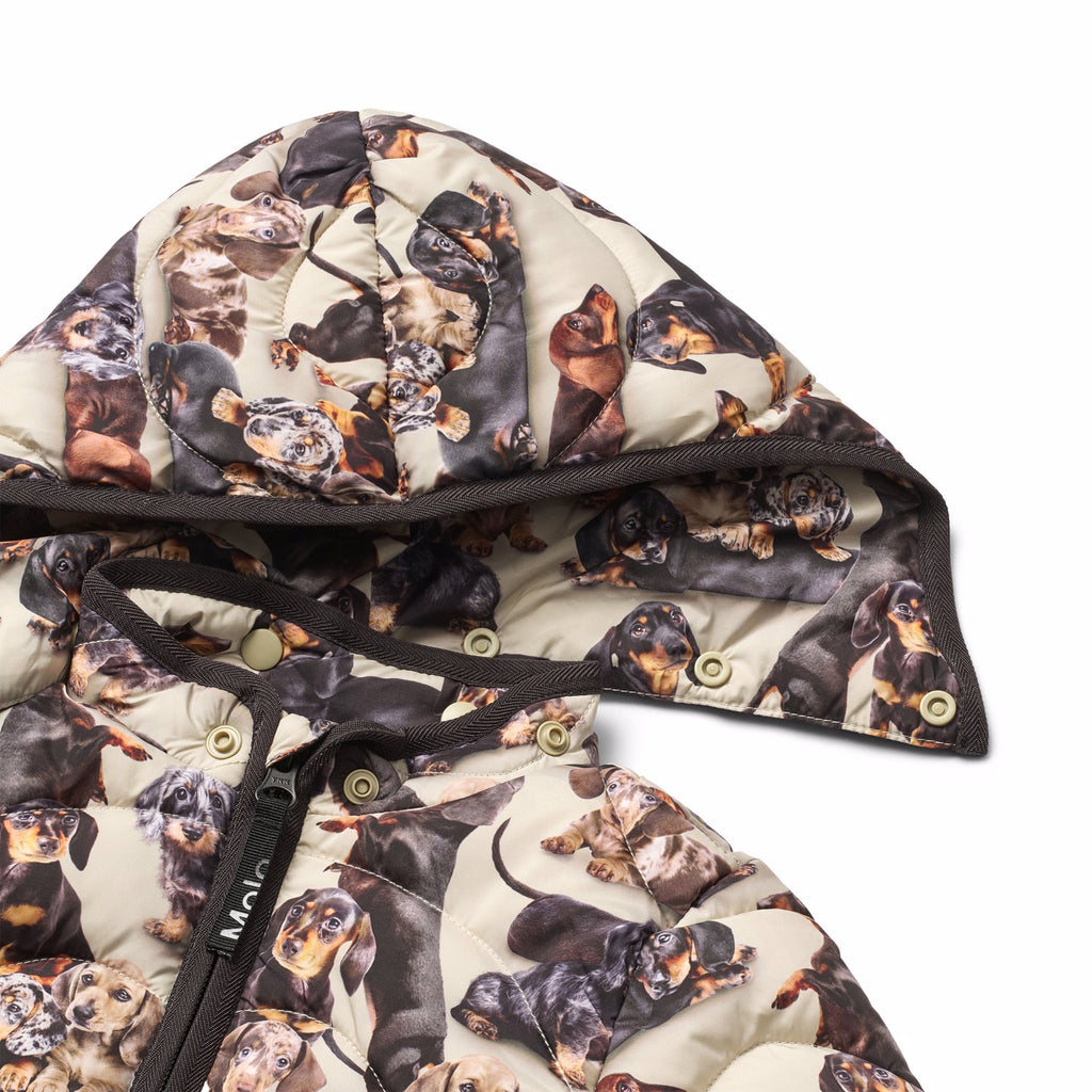 Honesty Babysuit - Dachshund