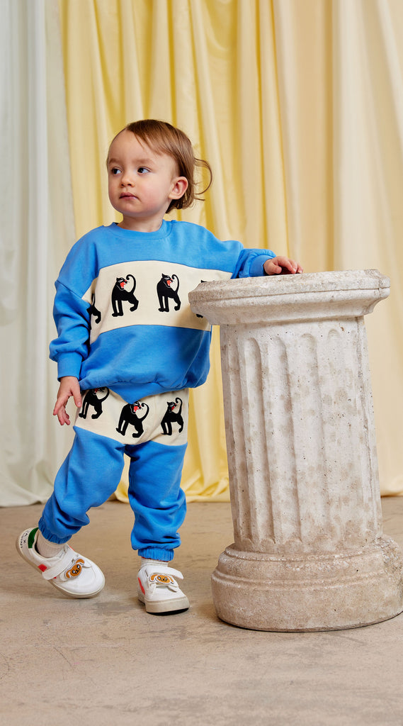 Panther Panel Sweatshirt