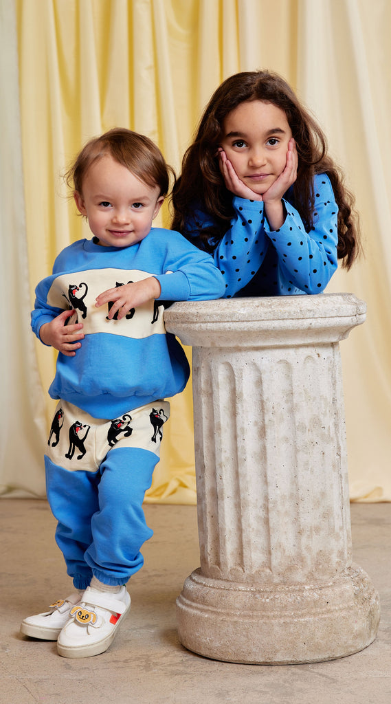 Panther Panel Sweatshirt