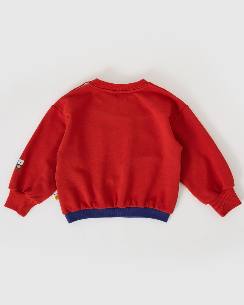 Red sweatshirt on a white background