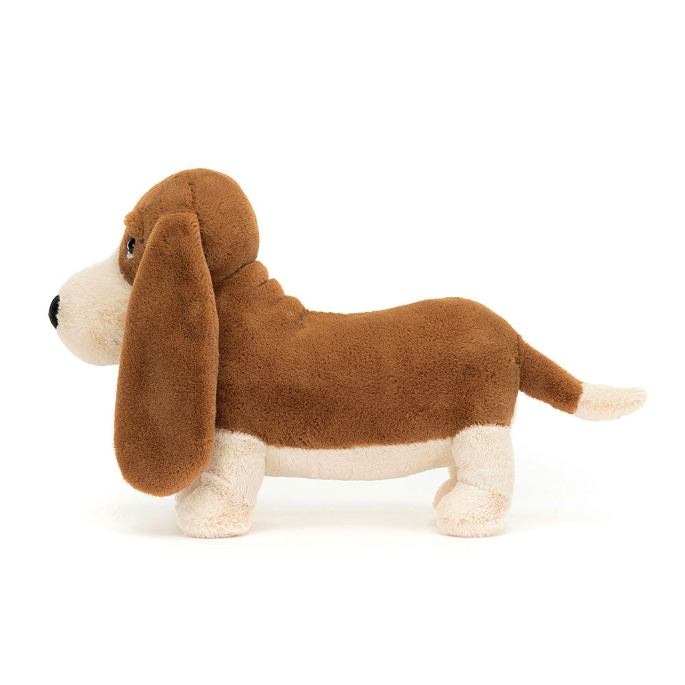 JC Randall Basset Hound