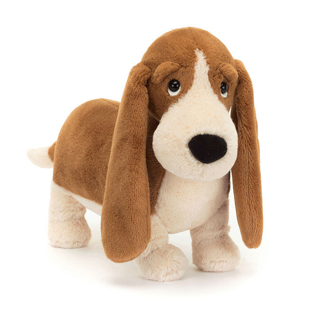 JC Randall Basset Hound