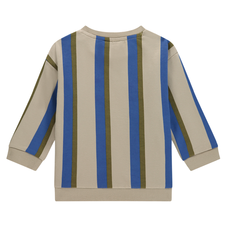 Baby Vertical Stripe Sweatshirt