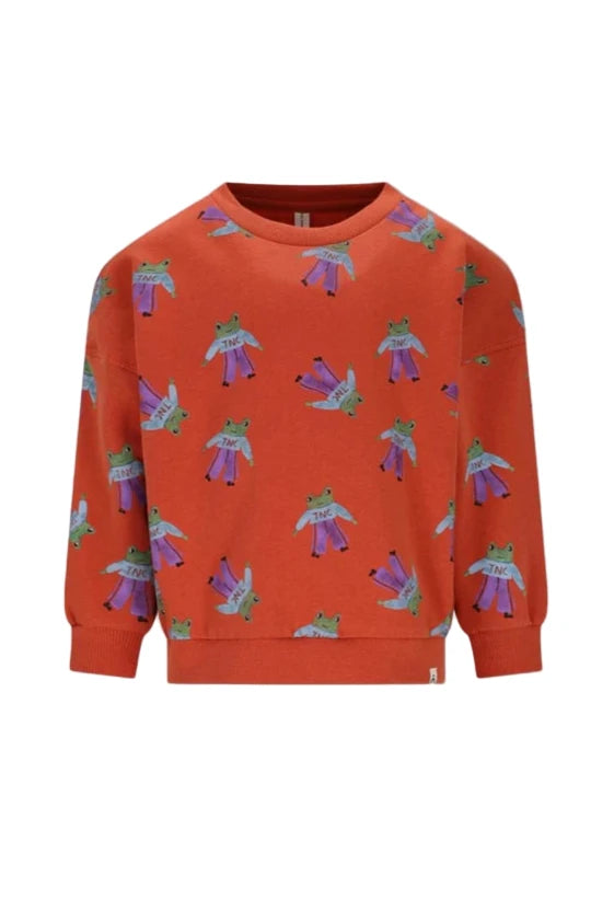 Bobbie Sweater - Frogs