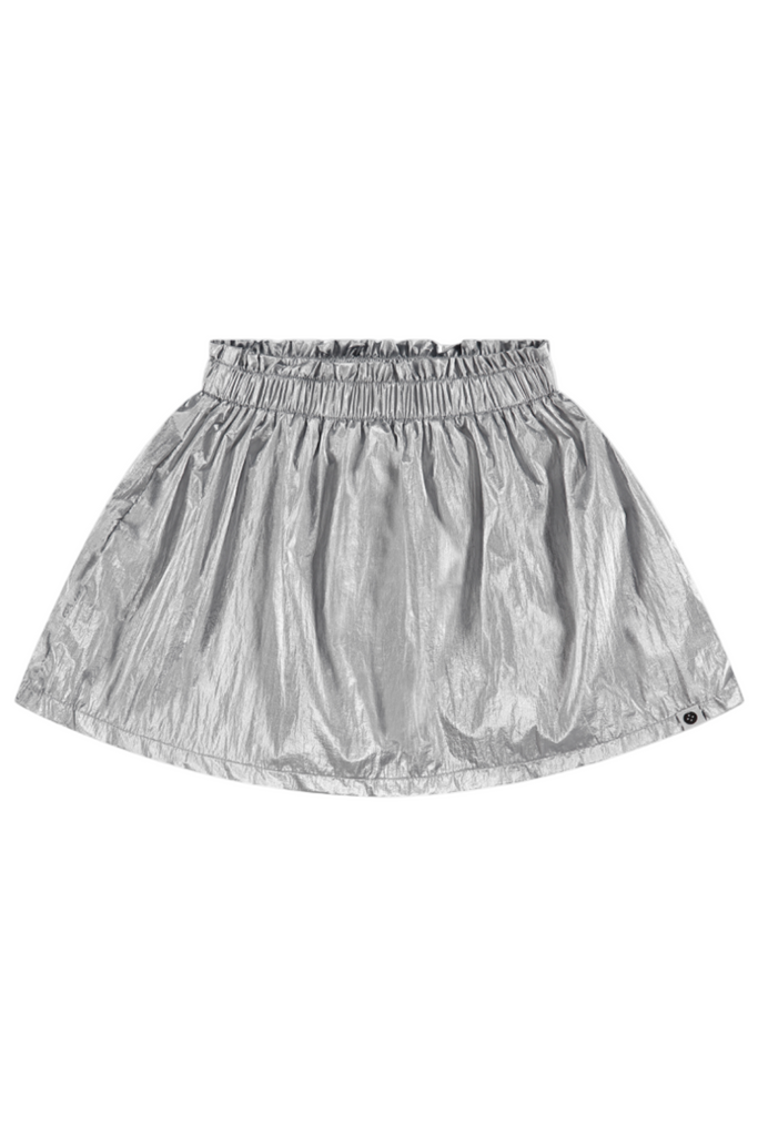 Silver Skirt