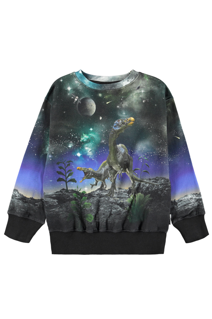 Mattis Sweatshirt - Dino Drama