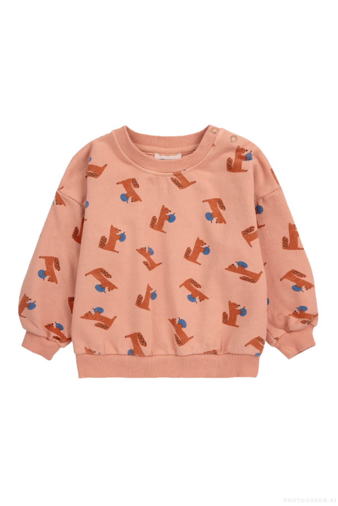 BC Baby Hungry Squirrels AOP Sweatshirt