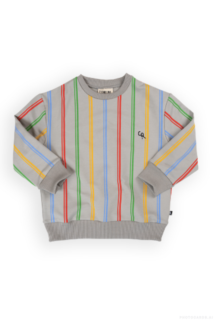 CQ Color Stripes Sweater